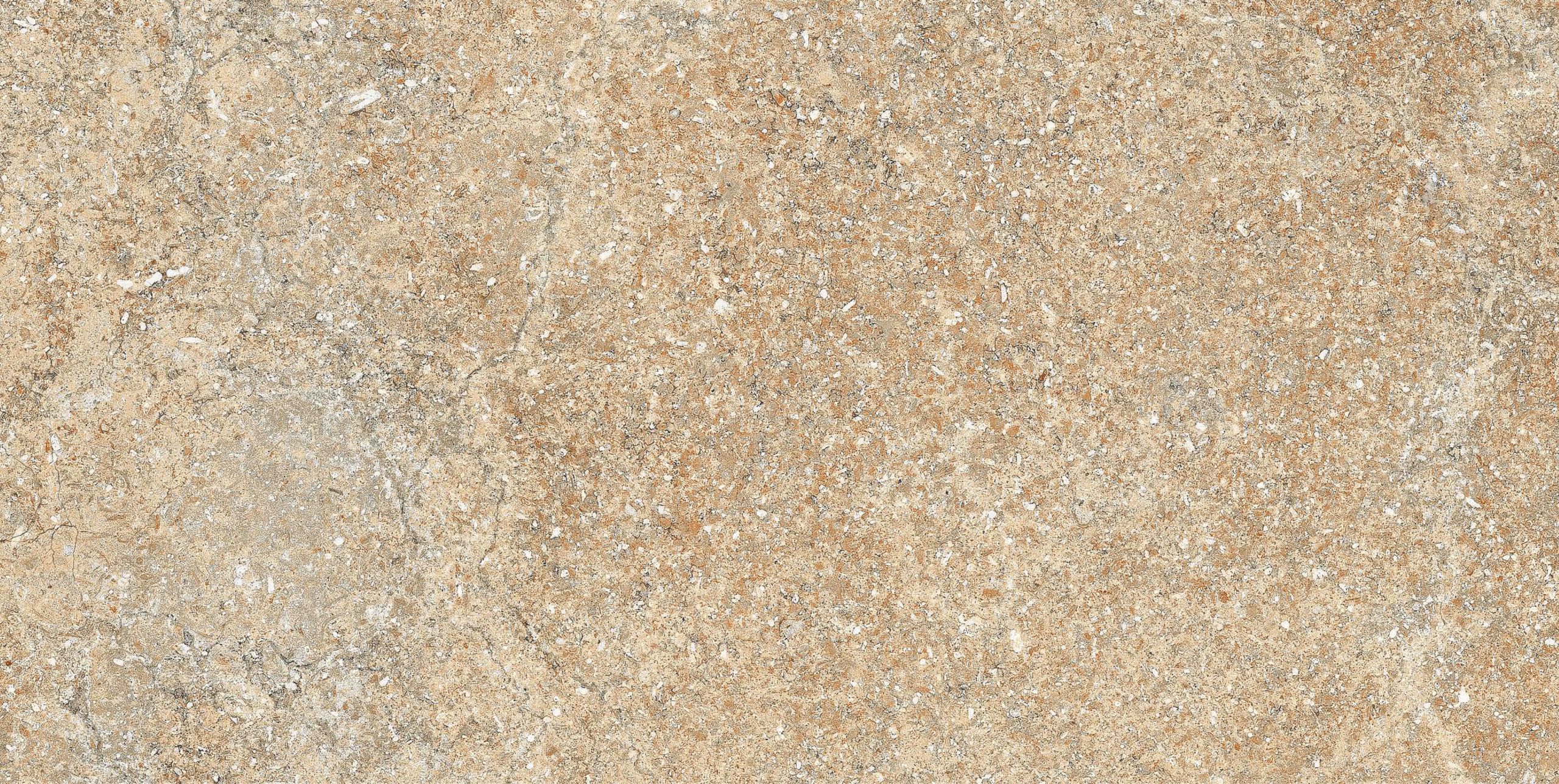 KCL-M-441 R2 - Image 5