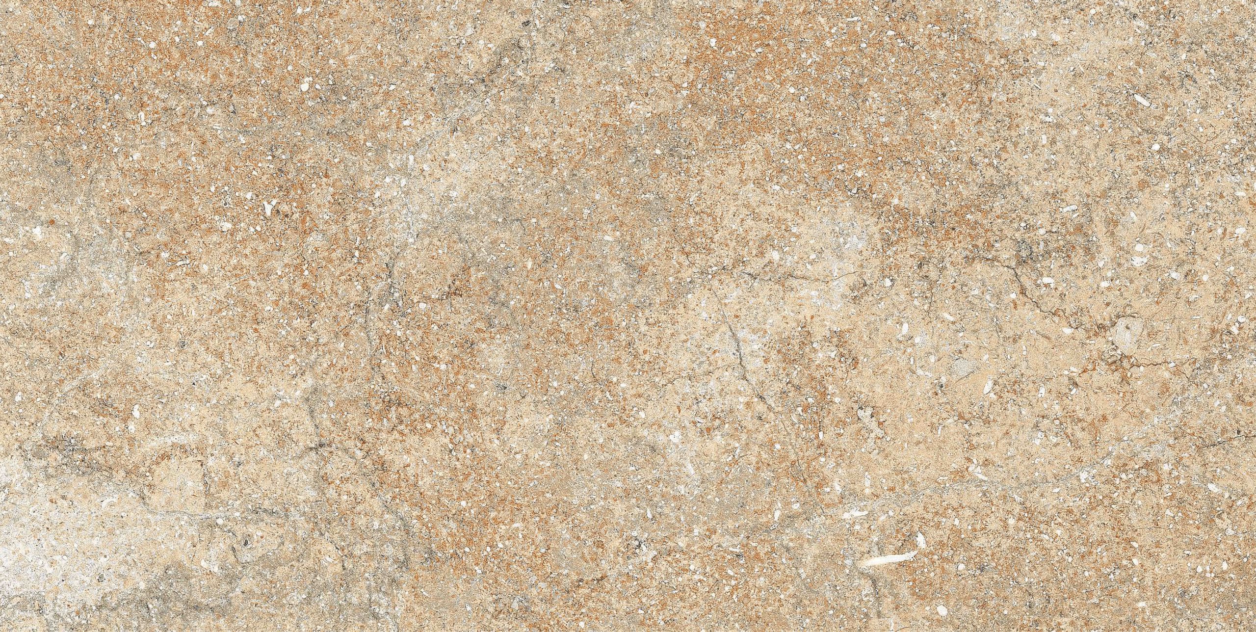 KCL-M-441 R2 - Image 4