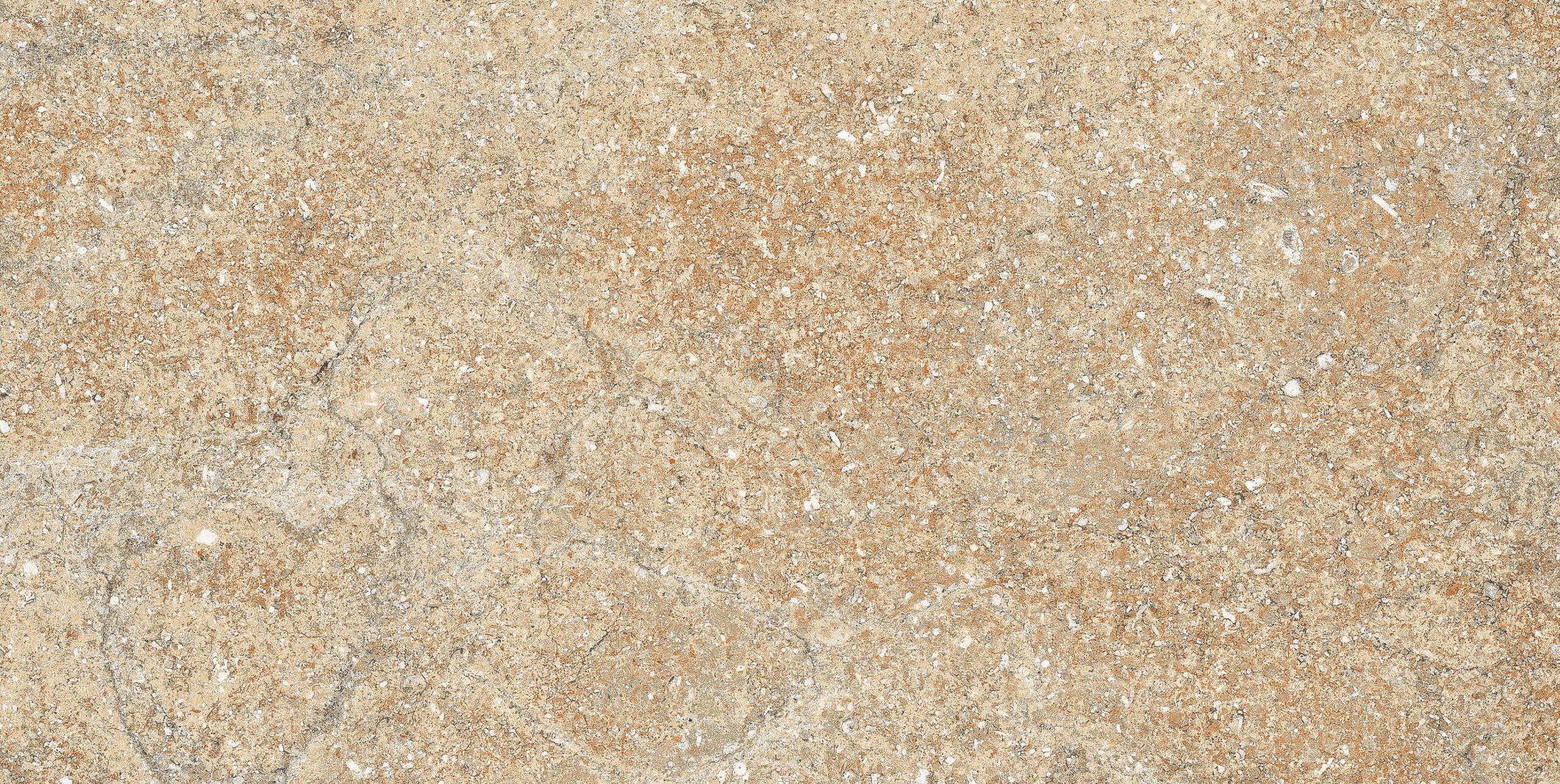 KCL-M-441 R2 - Image 3