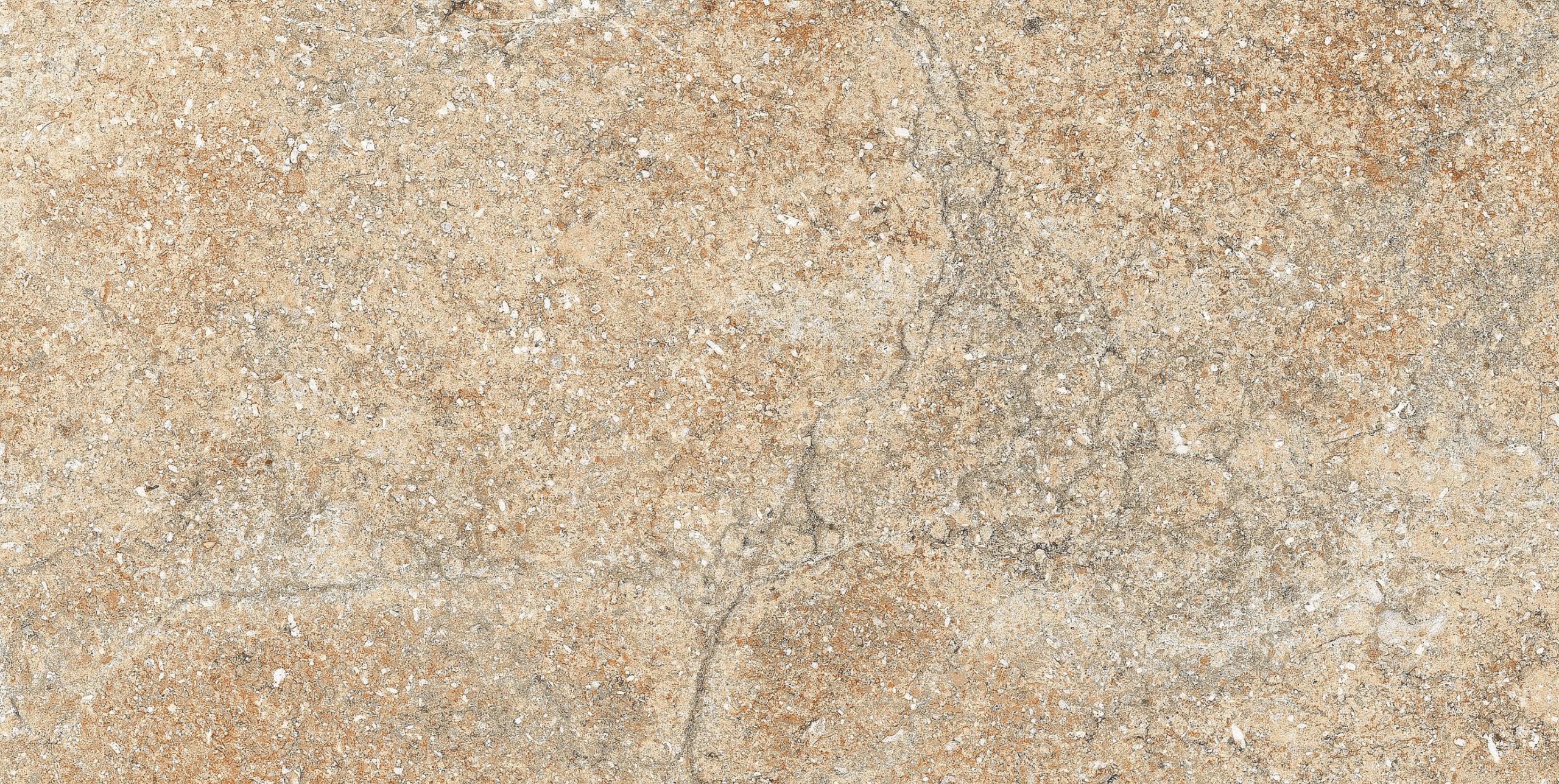 KCL-M-441 R2 - Image 2